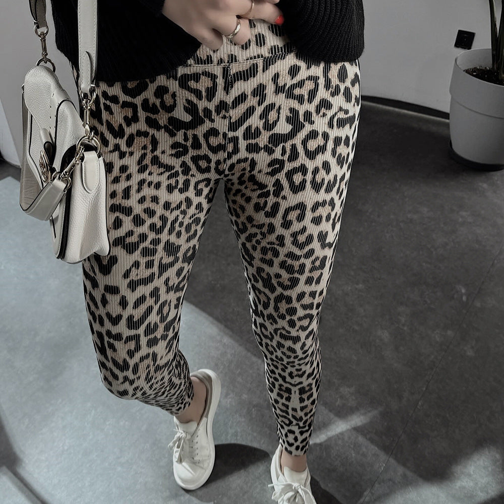 Leopard Print High Waisted Pants