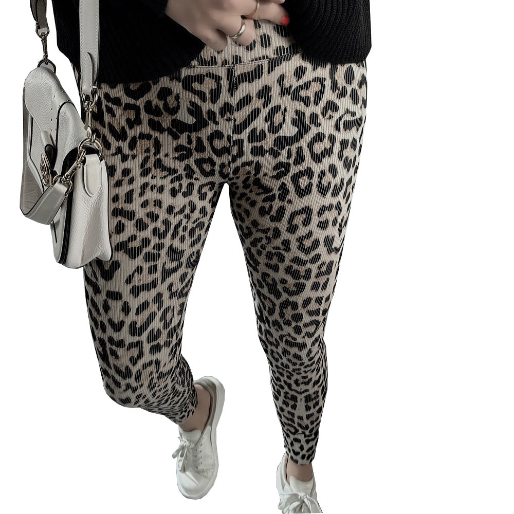 Leopard Print High Waisted Pants