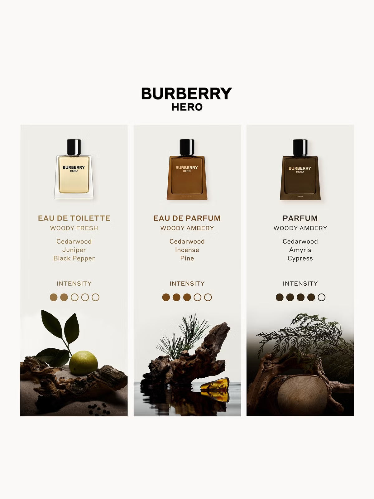 Burberry Hero Eau de Parfum 100ml | District Hurd Limited