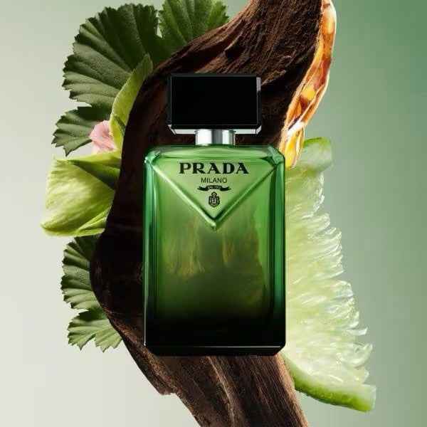 Prada Paradigme Eau de Parfum 100ml | District Hurd Limited